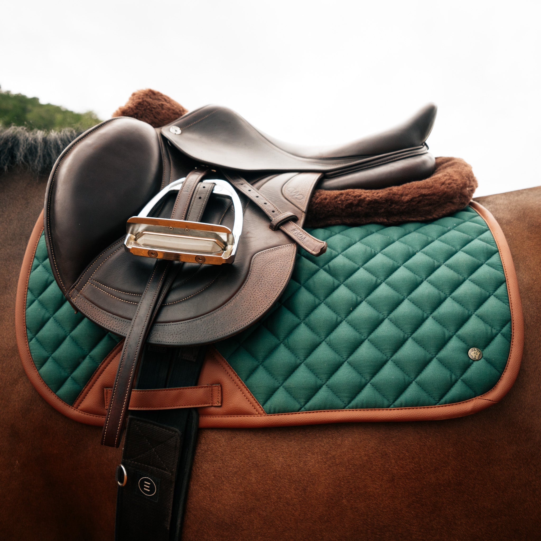 Sixteen Cypress Jumper Pad, Cypress & Cognac - Sixteen Cypress - Equiluxe Tack