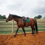 Sixteen Cypress Jumper Pad, Cypress & Cognac - Sixteen Cypress - Equiluxe Tack