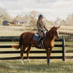 Sixteen Cypress Jumper Pad, Peninsula Stripe - Sixteen Cypress - Equiluxe Tack