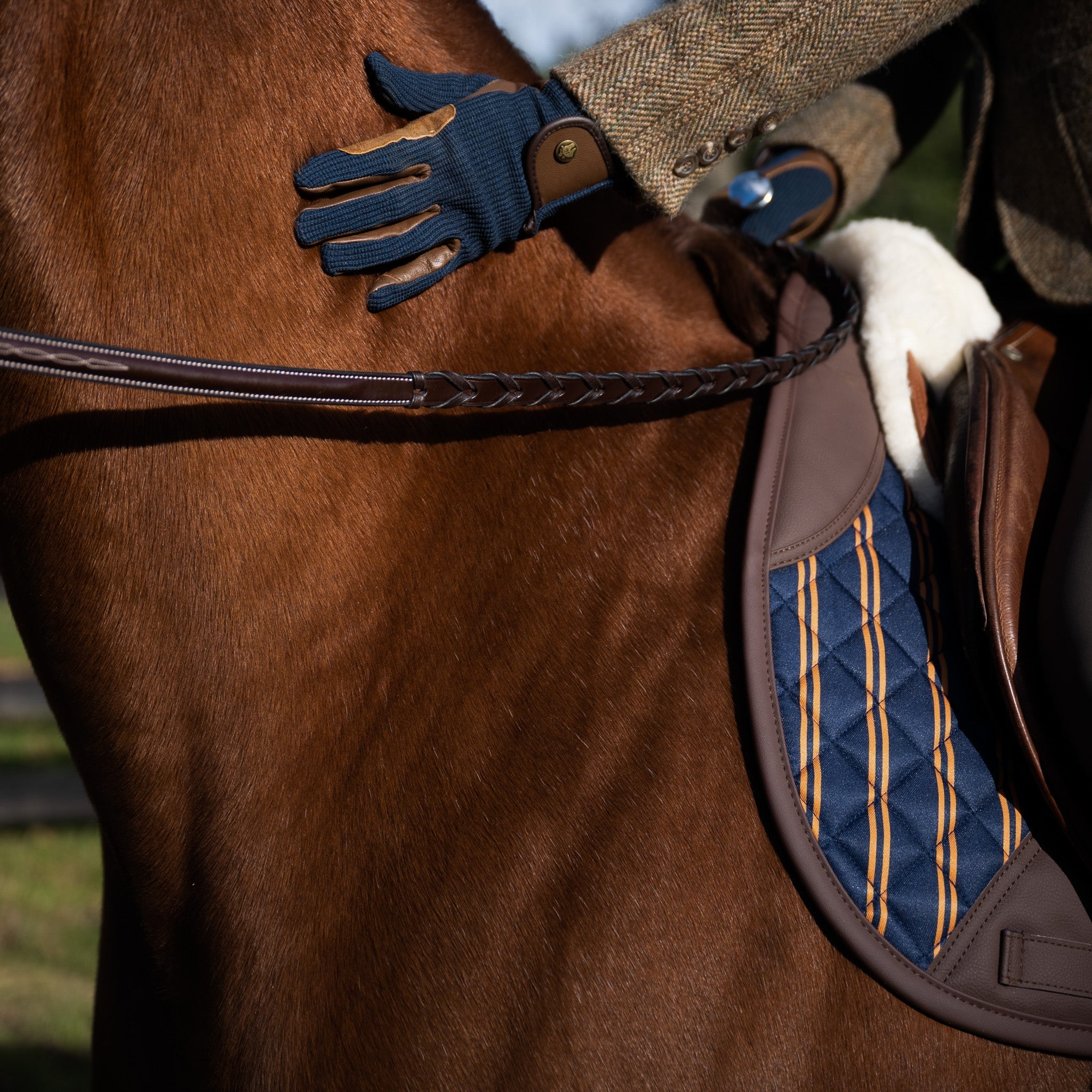 Sixteen Cypress Jumper Pad, Peninsula Stripe - Sixteen Cypress - Equiluxe Tack