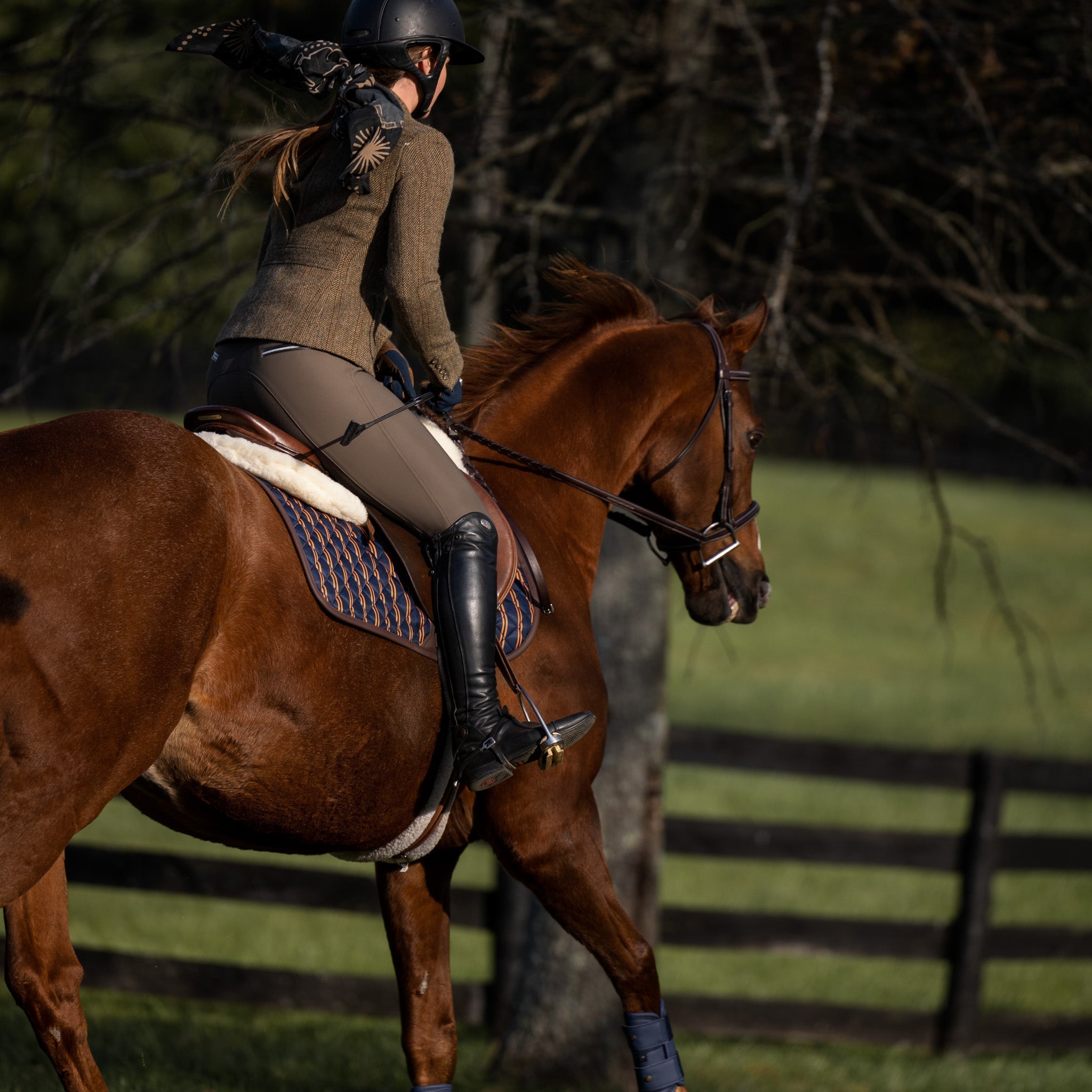 Sixteen Cypress Jumper Pad, Peninsula Stripe - Sixteen Cypress - Equiluxe Tack