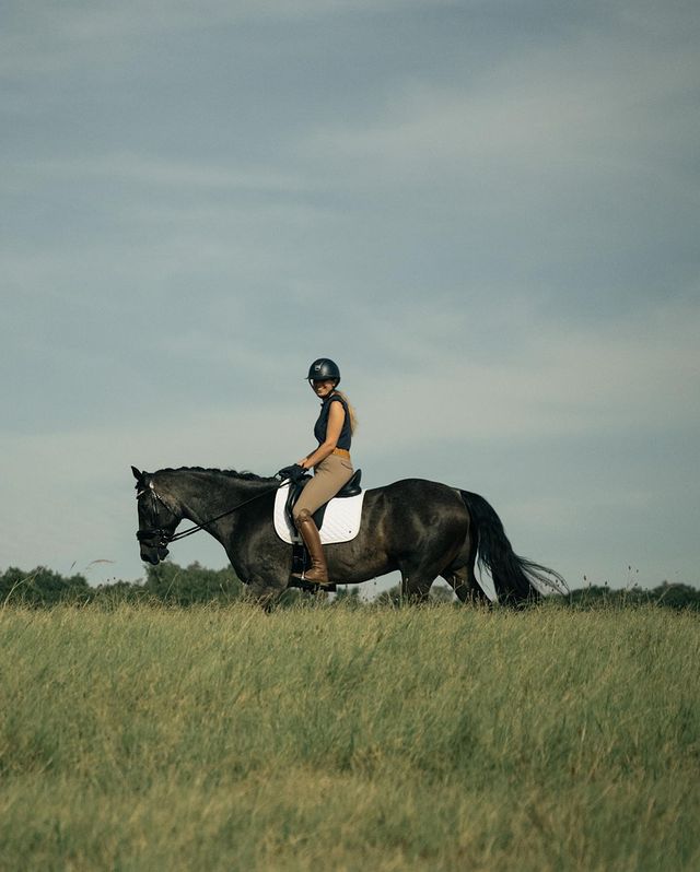 Sixteen Cypress Jumper Pad, Show Ready White - Sixteen Cypress - Equiluxe Tack