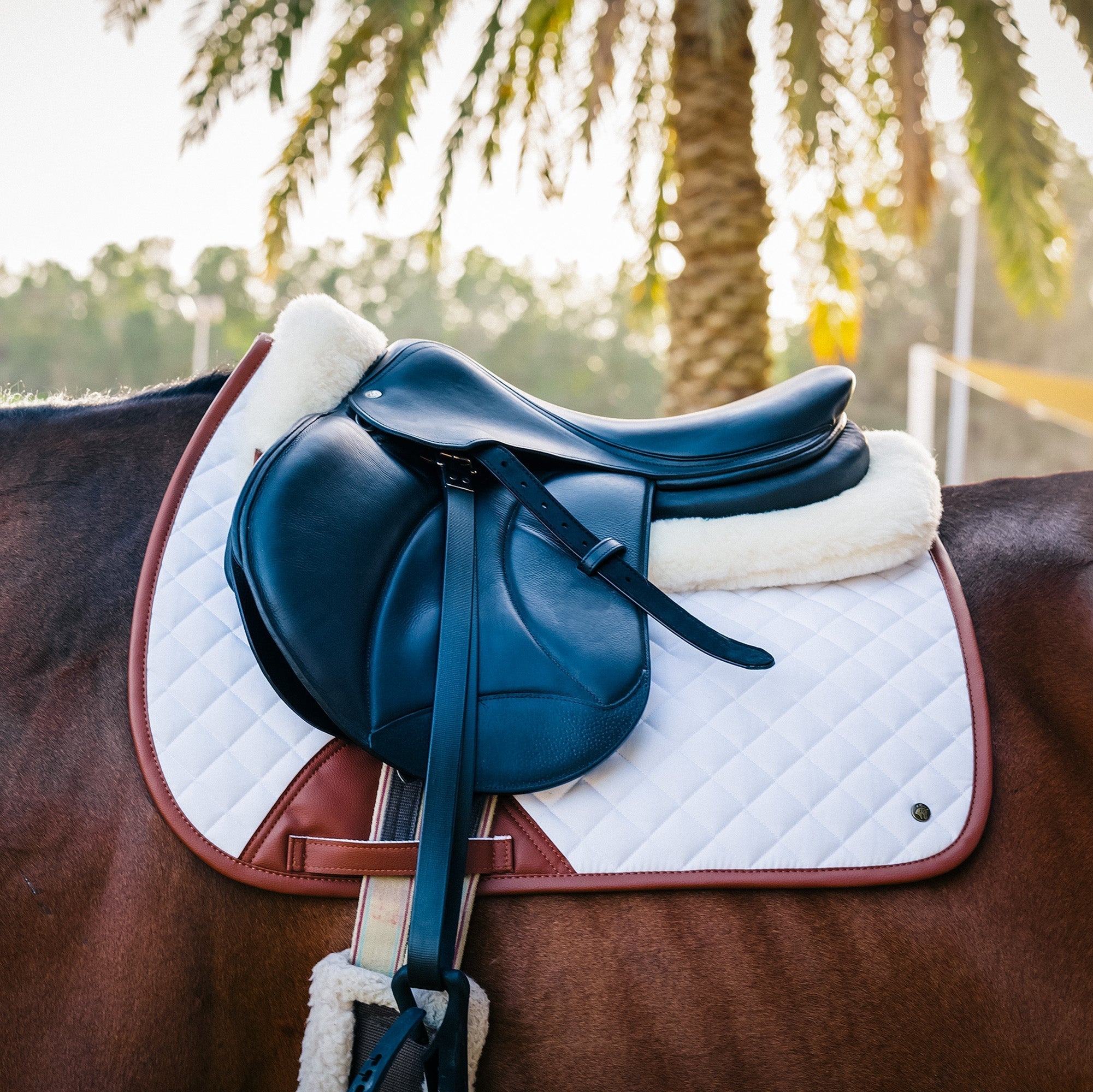 Sixteen Cypress Jumper Pad, White & Cognac - Sixteen Cypress - Equiluxe Tack