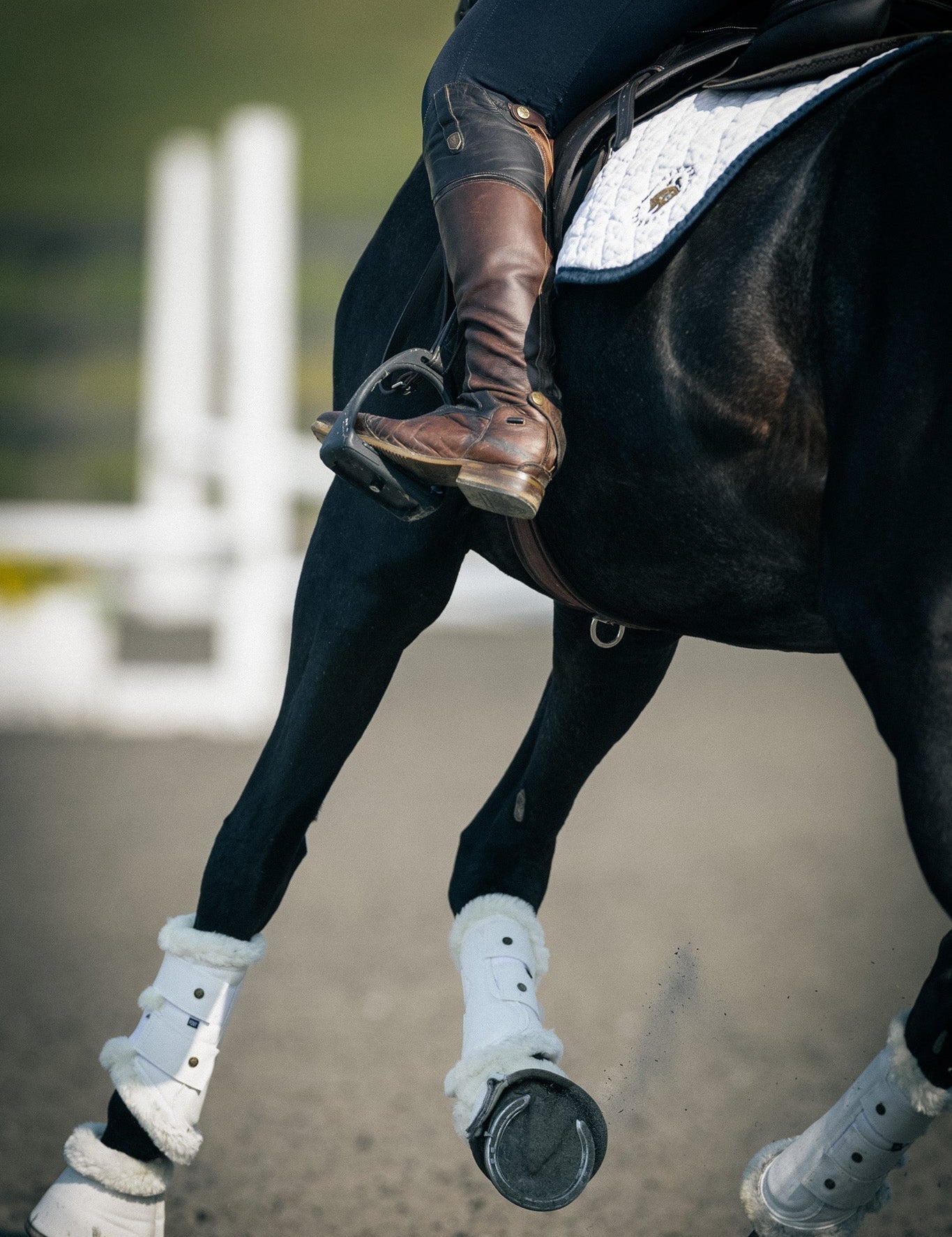 Sixteen Cypress Leatherette Brushing Boots, White - Sixteen Cypress - Equiluxe Tack