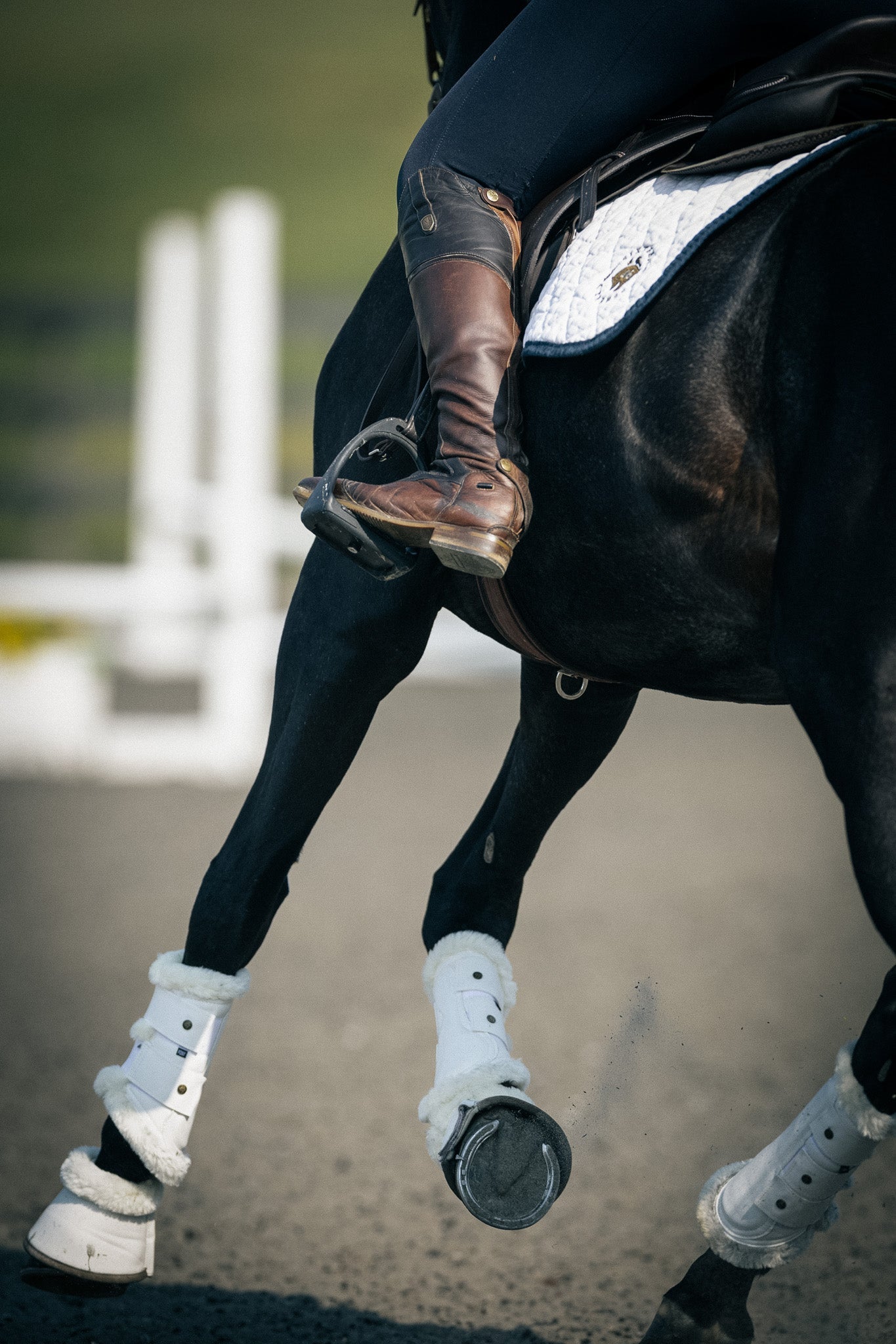 Sixteen Cypress Leatherette Brushing Boots, White - Sixteen Cypress - Equiluxe Tack