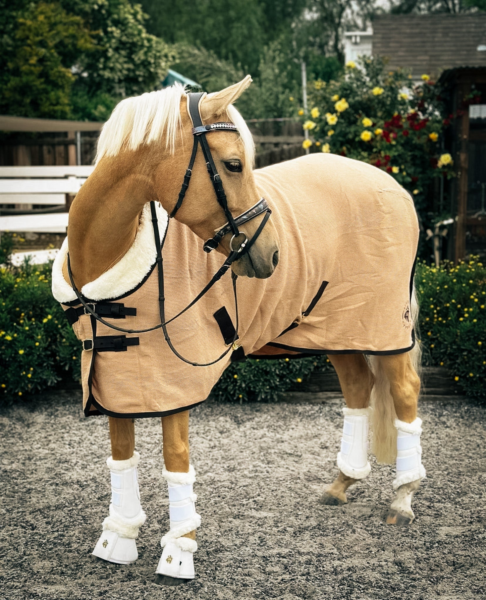 Sixteen Cypress Leatherette Brushing Boots, White - Sixteen Cypress - Equiluxe Tack