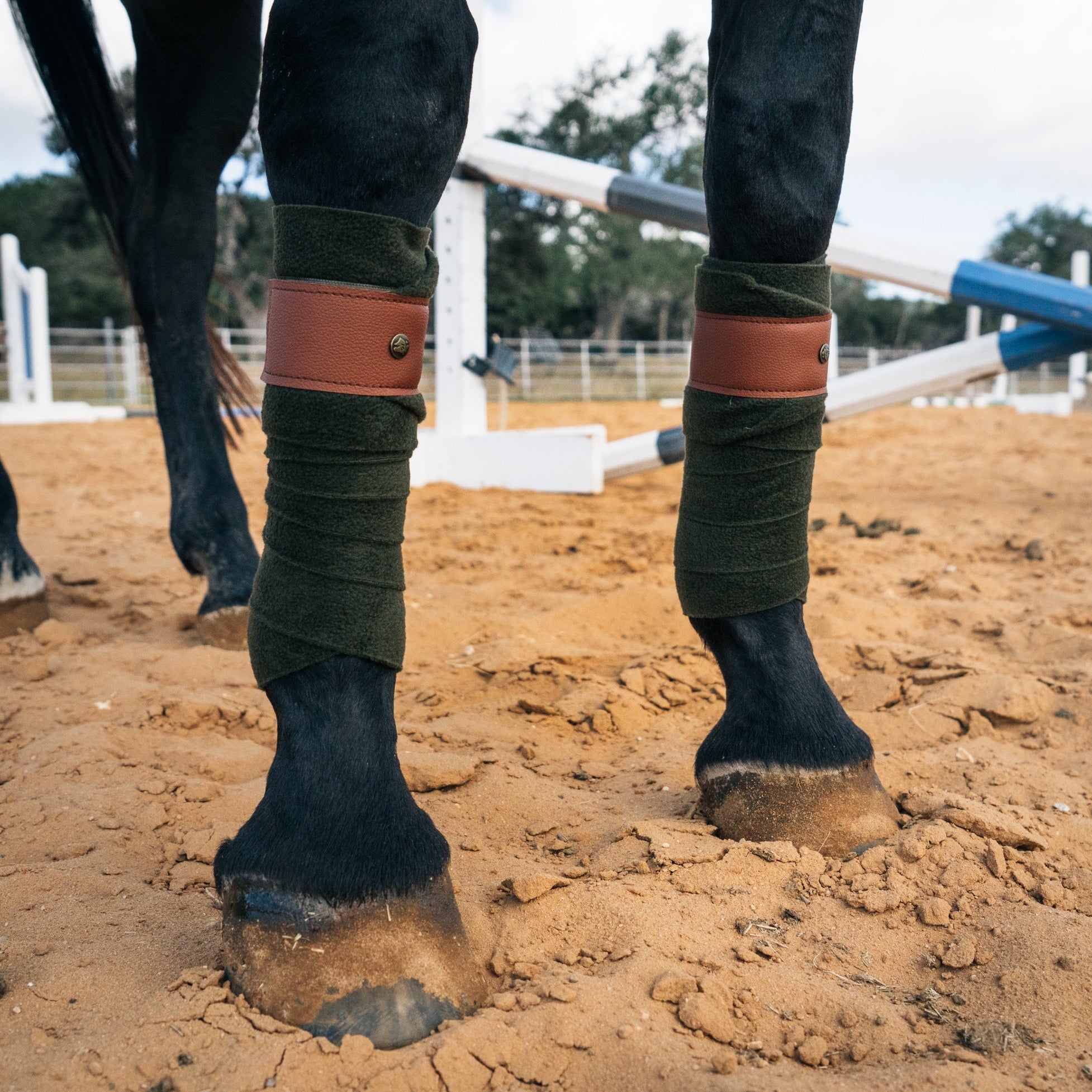 Sixteen Cypress Leatherette Polos, Dark Olive & Cognac - Sixteen Cypress - Equiluxe Tack
