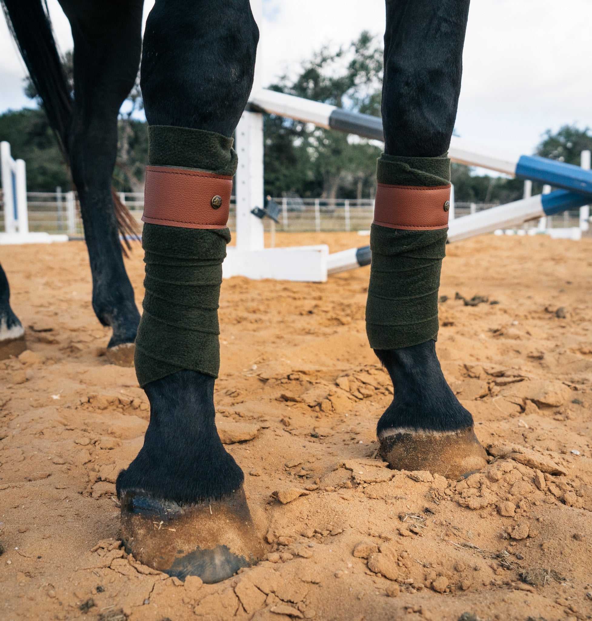 Sixteen Cypress Leatherette Polos, Dark Olive & Cognac - Sixteen Cypress - Equiluxe Tack