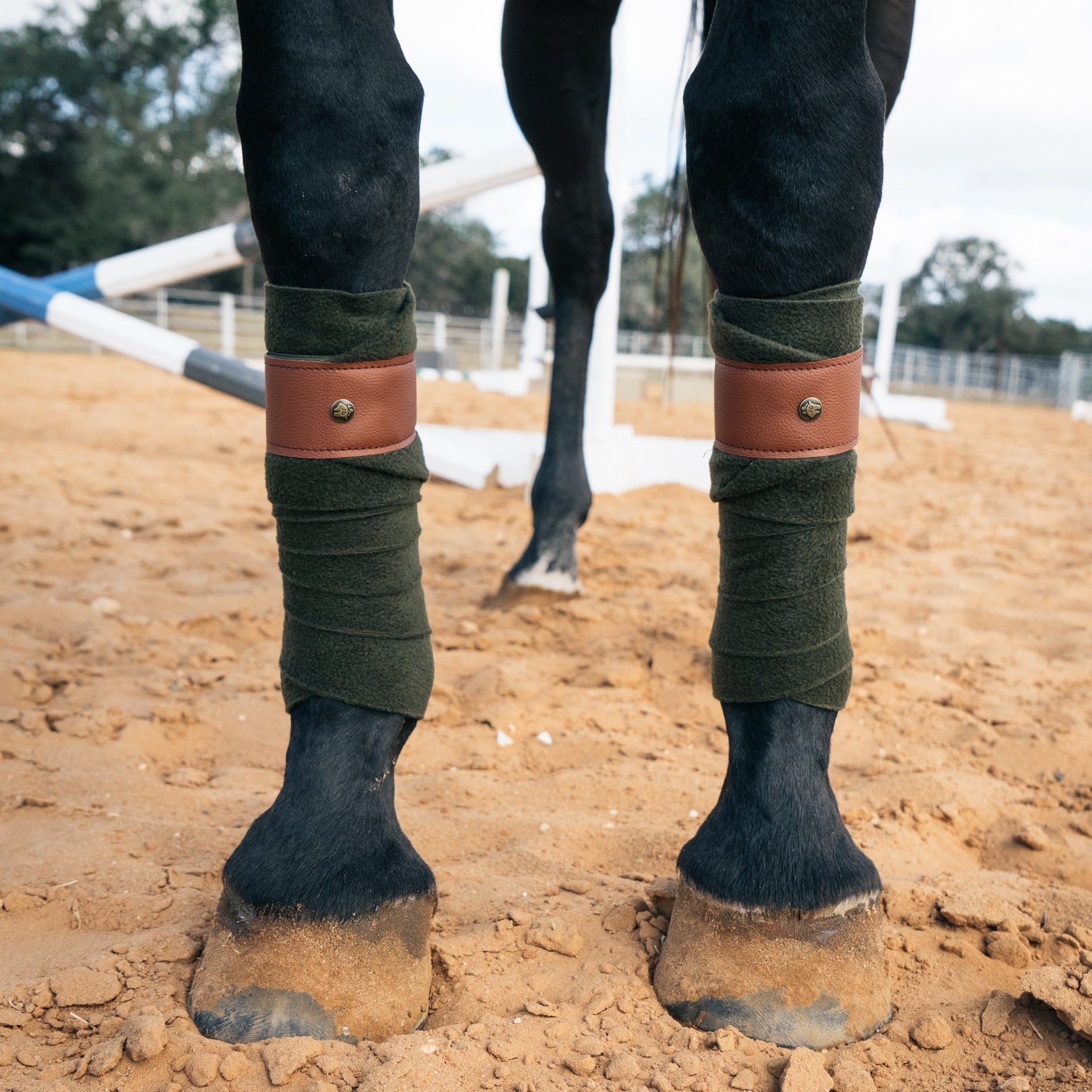 Sixteen Cypress Leatherette Polos, Dark Olive & Cognac - Sixteen Cypress - Equiluxe Tack