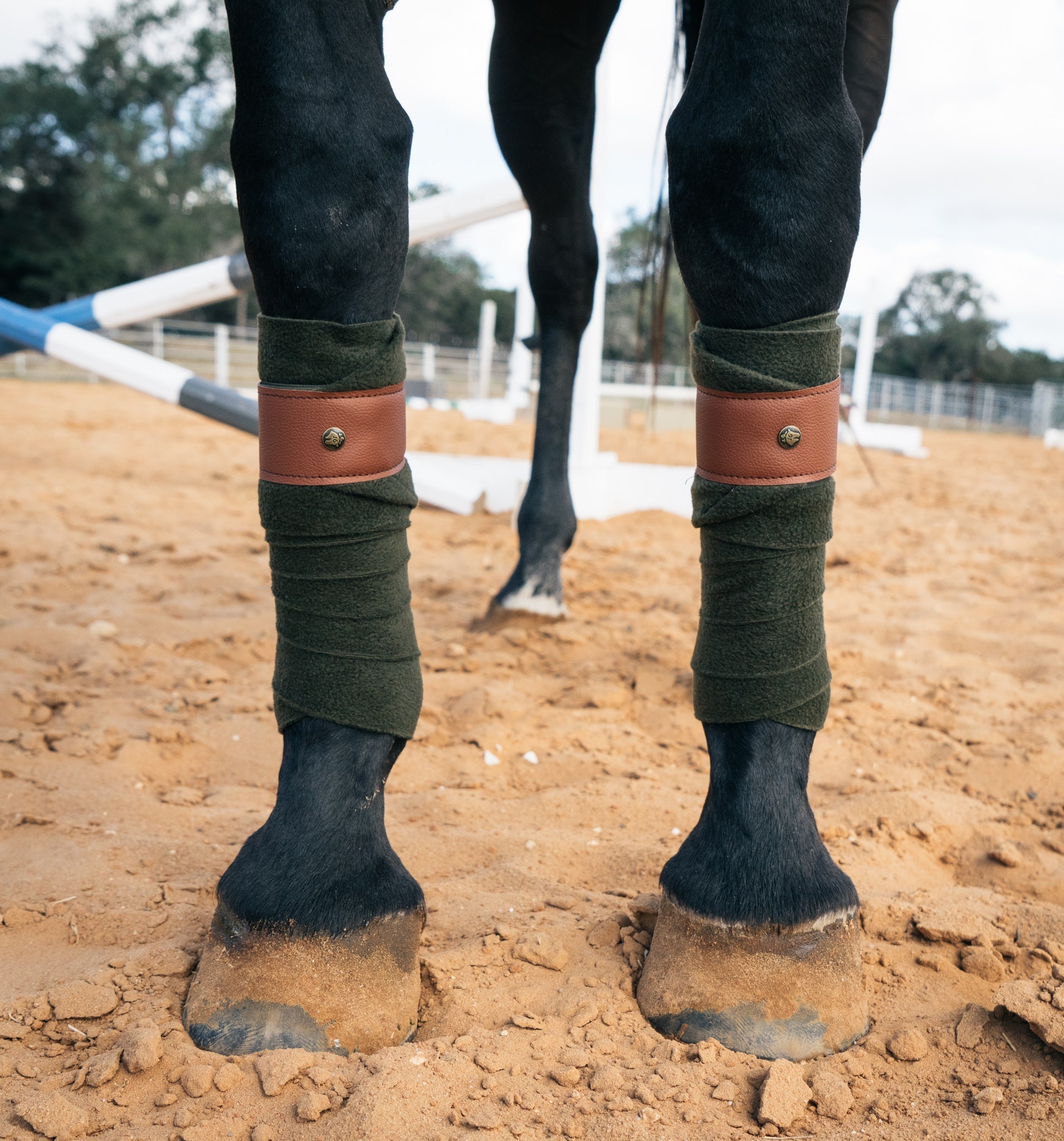 Sixteen Cypress Leatherette Polos, Dark Olive & Cognac - Sixteen Cypress - Equiluxe Tack