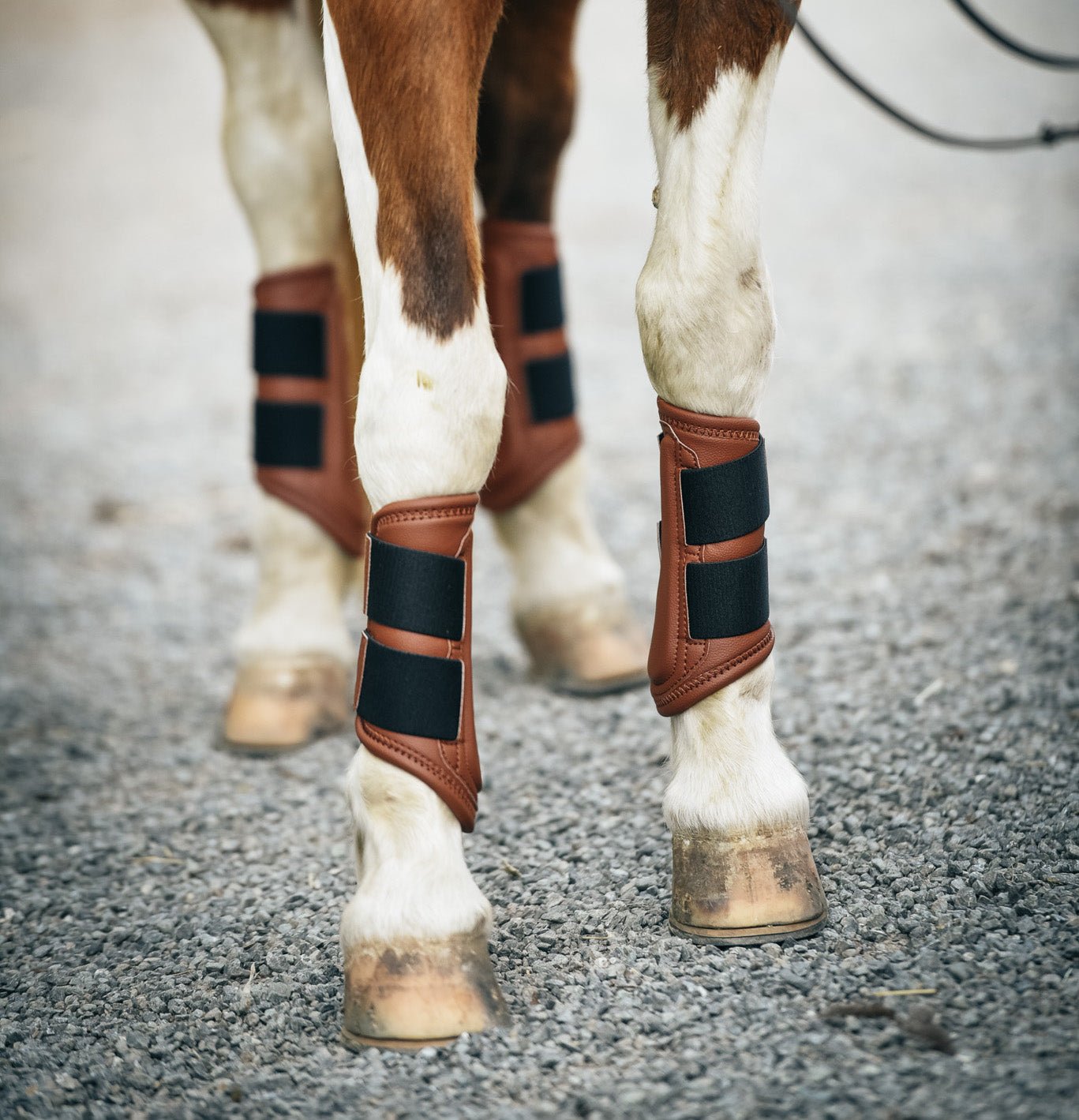 Sixteen Cypress Leatherette Splint Boots, Cognac - Sixteen Cypress - Equiluxe Tack