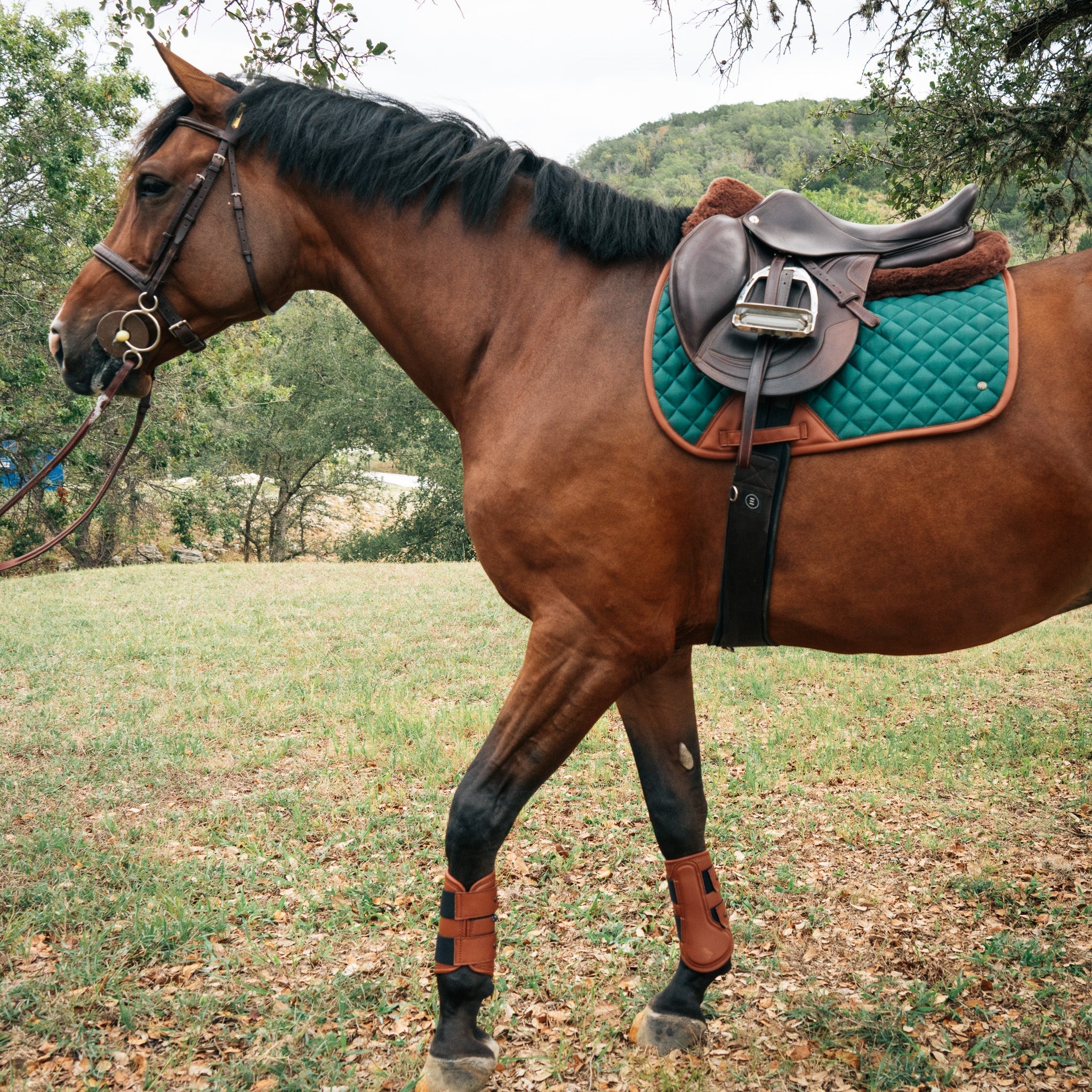 Sixteen Cypress Leatherette Splint Boots, Cognac - Sixteen Cypress - Equiluxe Tack