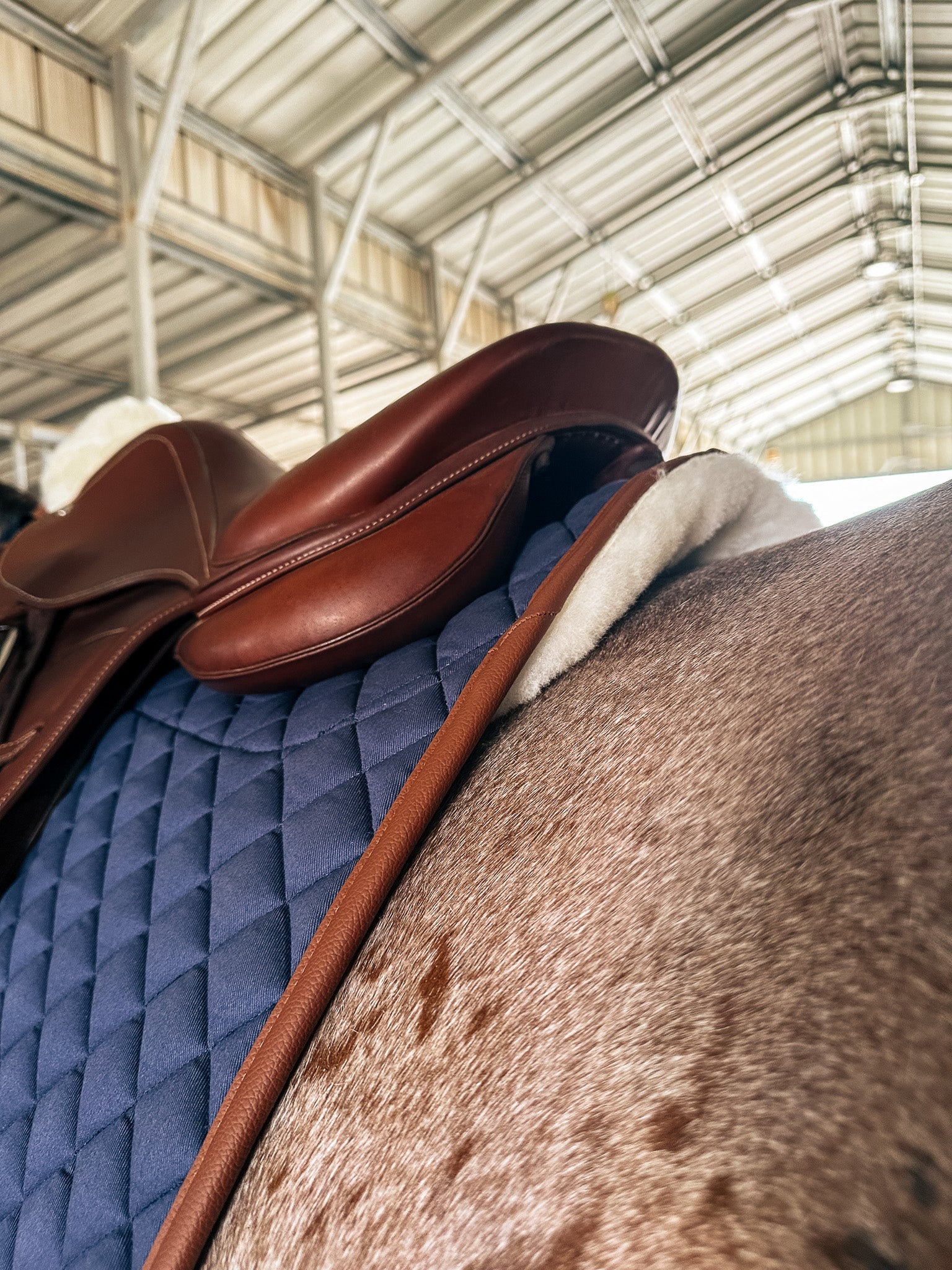 Sixteen Cypress Merino Wool Ultra Soft Jumper Pad, Navy & Cognac - Sixteen Cypress - Equiluxe Tack