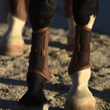 Sixteen Cypress Mesh Sport Boot, Black - Sixteen Cypress - Equiluxe Tack