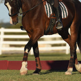 Sixteen Cypress Mesh Sport Boot, Black - Sixteen Cypress - Equiluxe Tack