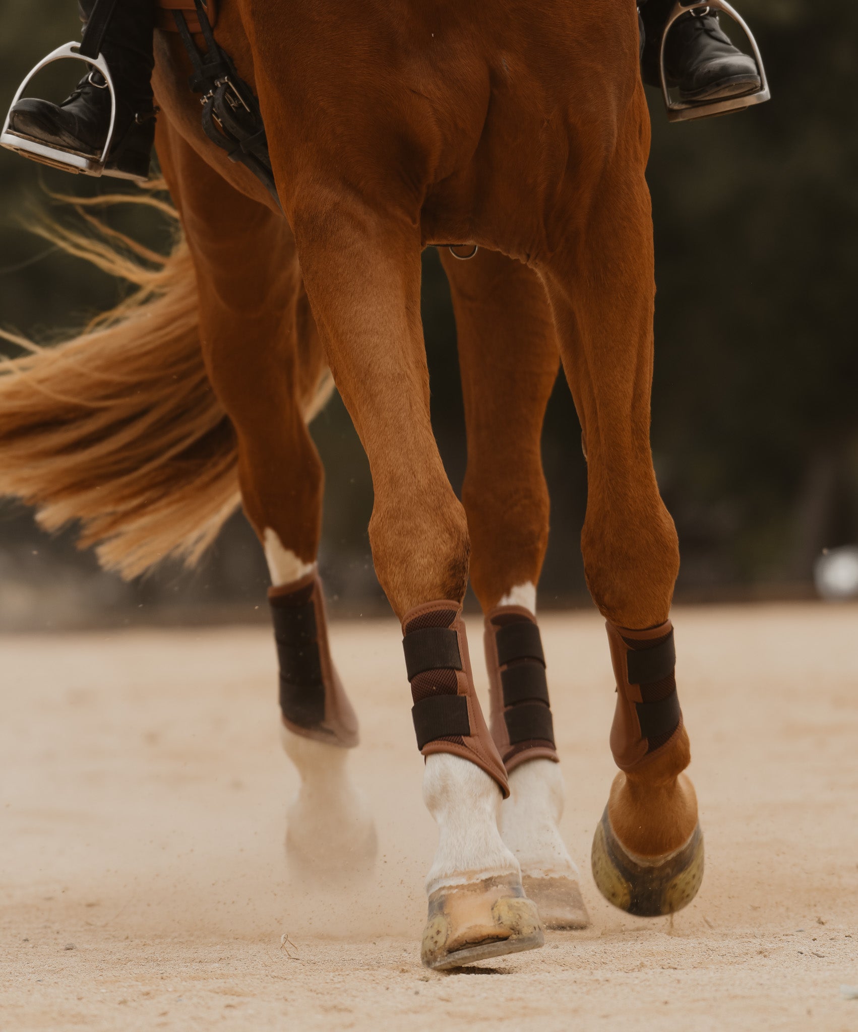 Sixteen Cypress Mesh Sport Boot, Cognac - Sixteen Cypress - Equiluxe Tack