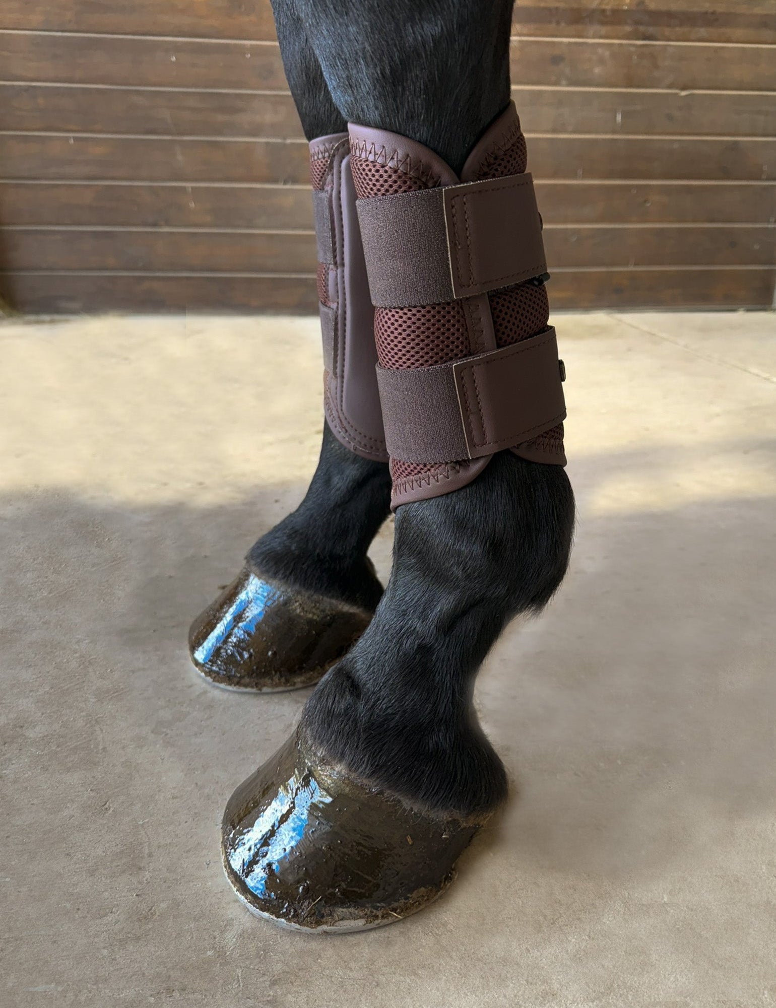 Sixteen Cypress Mesh Sport Boot, Hickory - Sixteen Cypress - Equiluxe Tack