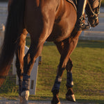 Sixteen Cypress Mesh Sport Boot, Navy - Sixteen Cypress - Equiluxe Tack