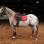 Sixteen Cypress Pony Jumper Pad, Derby Stripe - Sixteen Cypress - Equiluxe Tack