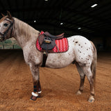 Sixteen Cypress Pony Jumper Pad, Derby Stripe - Sixteen Cypress - Equiluxe Tack