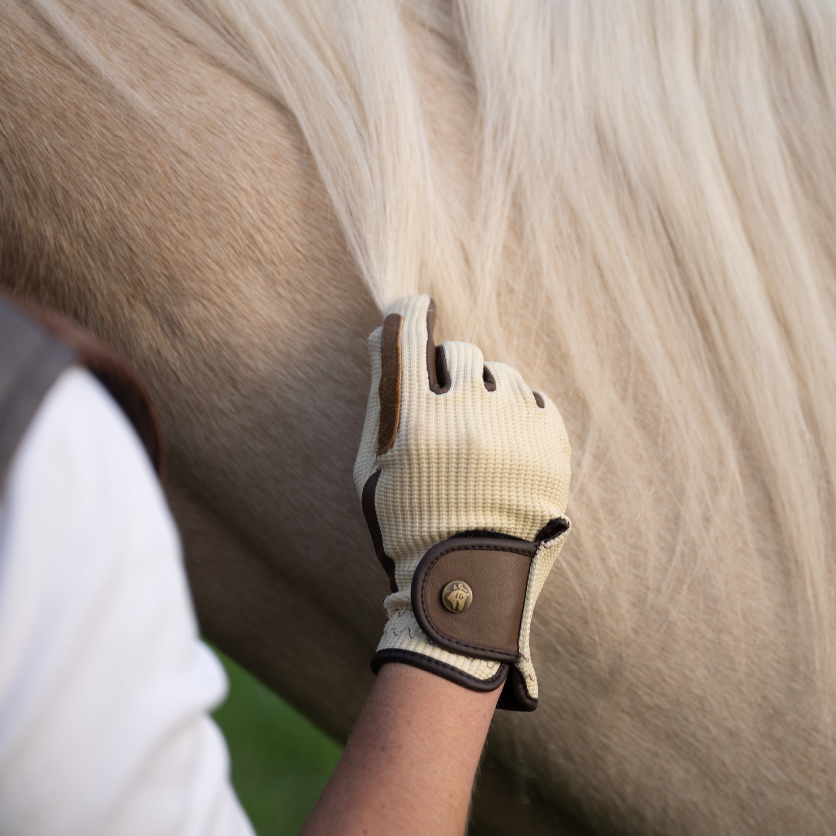Sixteen Cypress Riding Gloves, Ivory & Cognac - Sixteen Cypress - Equiluxe Tack