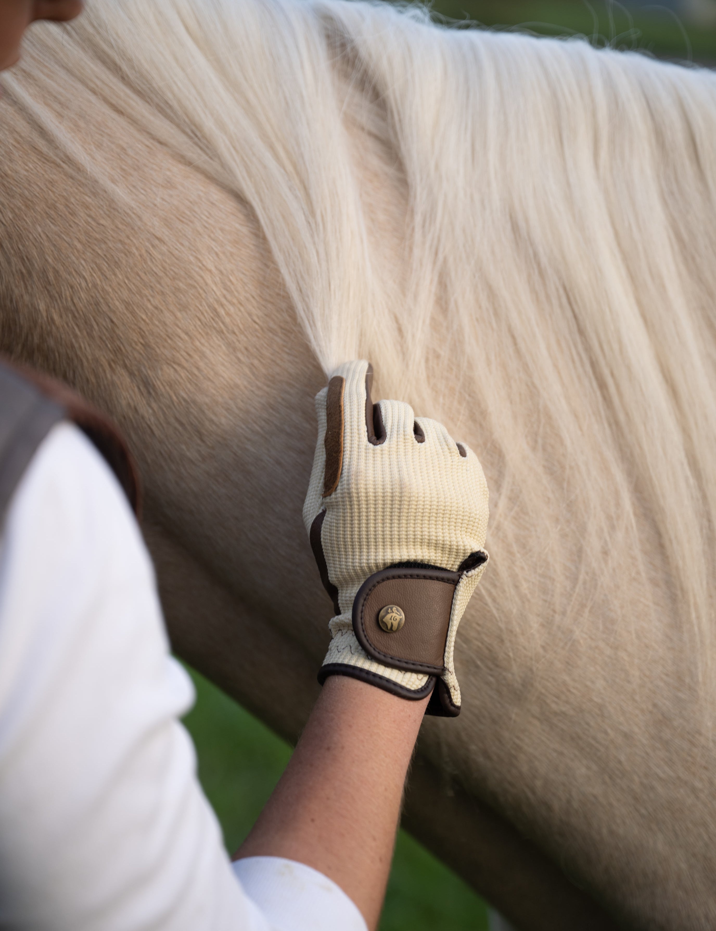 Sixteen Cypress Riding Gloves, Ivory & Cognac - Sixteen Cypress - Equiluxe Tack