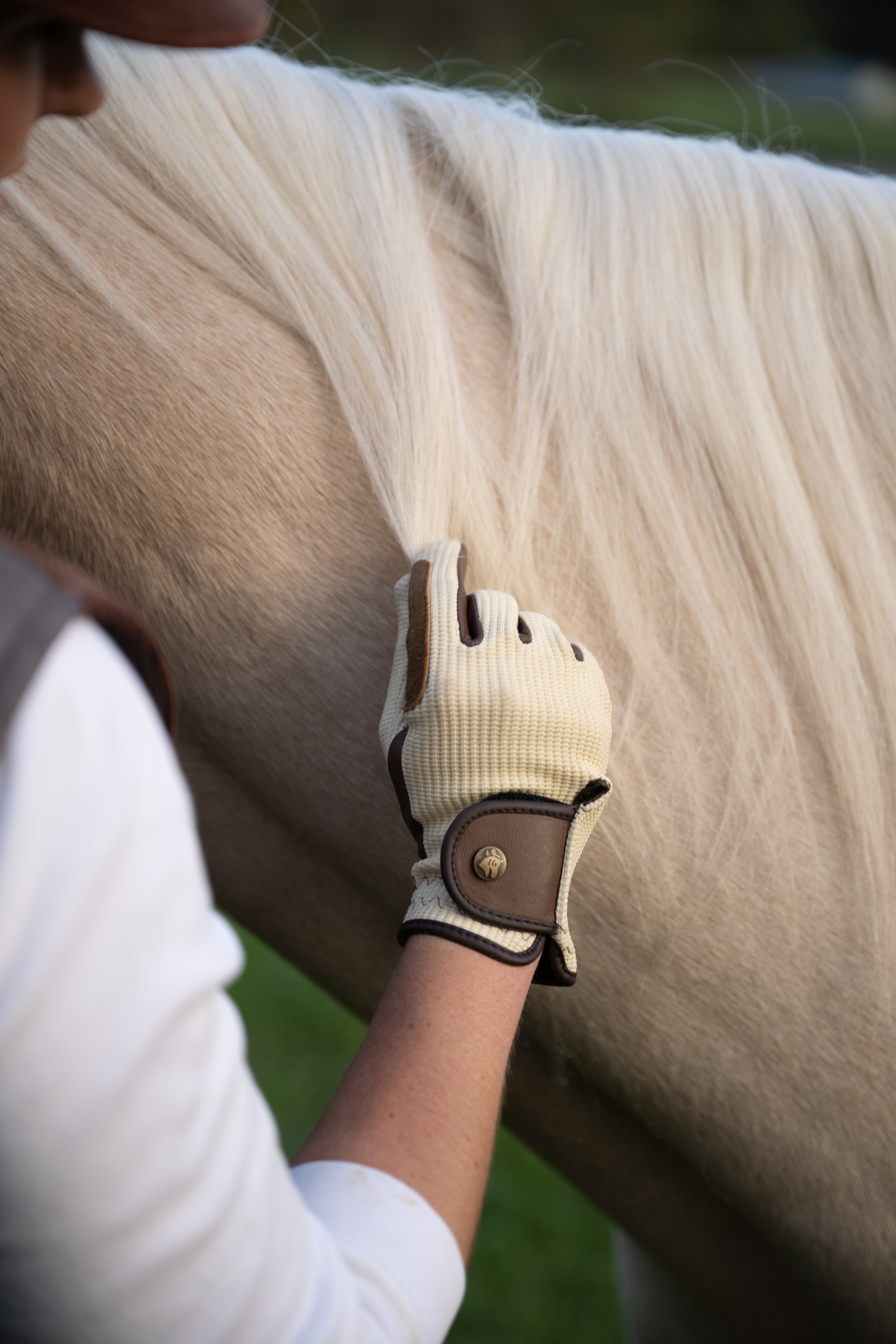 Sixteen Cypress Riding Gloves, Ivory & Cognac - Sixteen Cypress - Equiluxe Tack