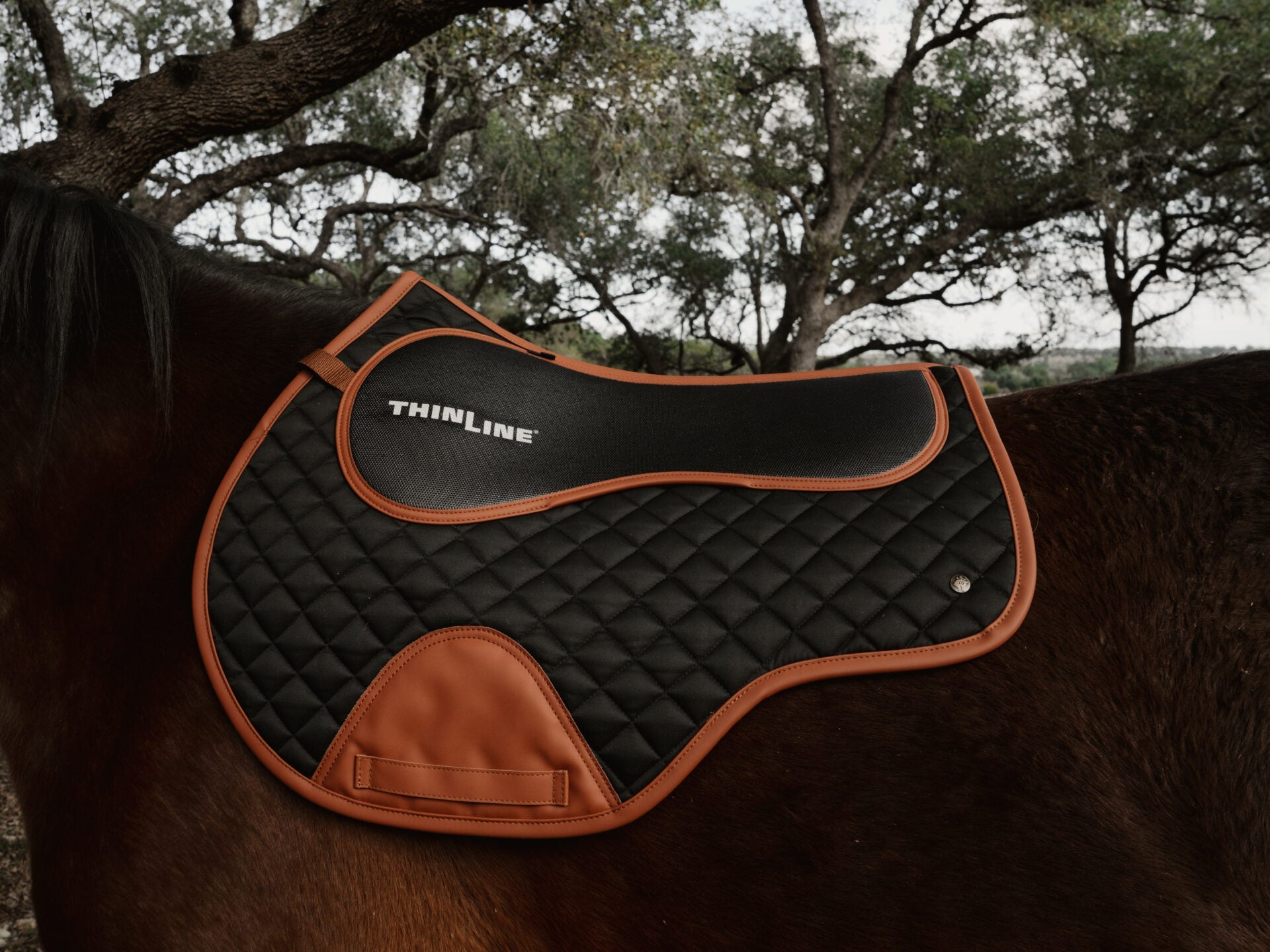 Sixteen Cypress X ThinLine Close Contact Pad – Black & Cognac - Sixteen Cypress - Equiluxe Tack