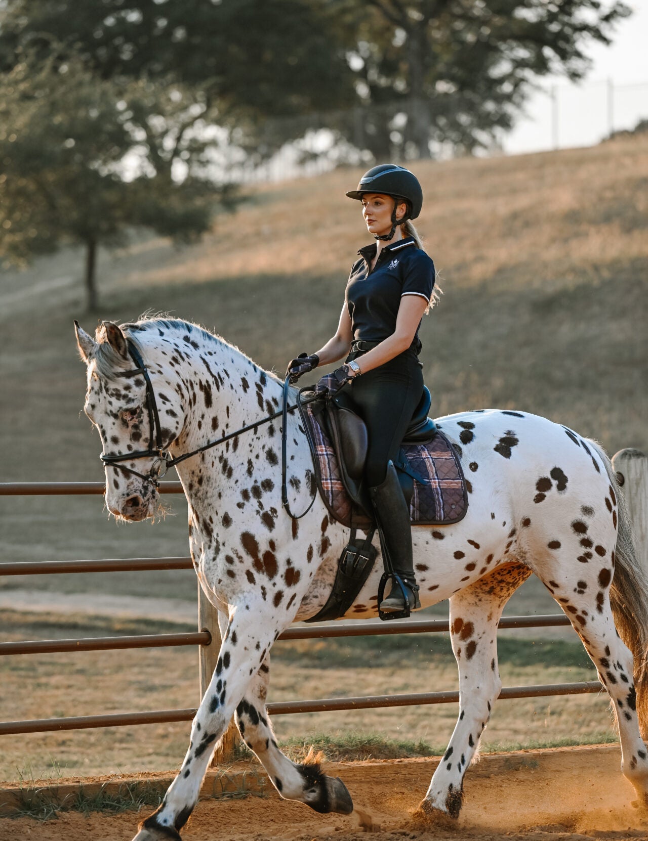 Sixteen Cypress X ThinLine Dressage Pad – Field Plaid - Sixteen Cypress - Equiluxe Tack