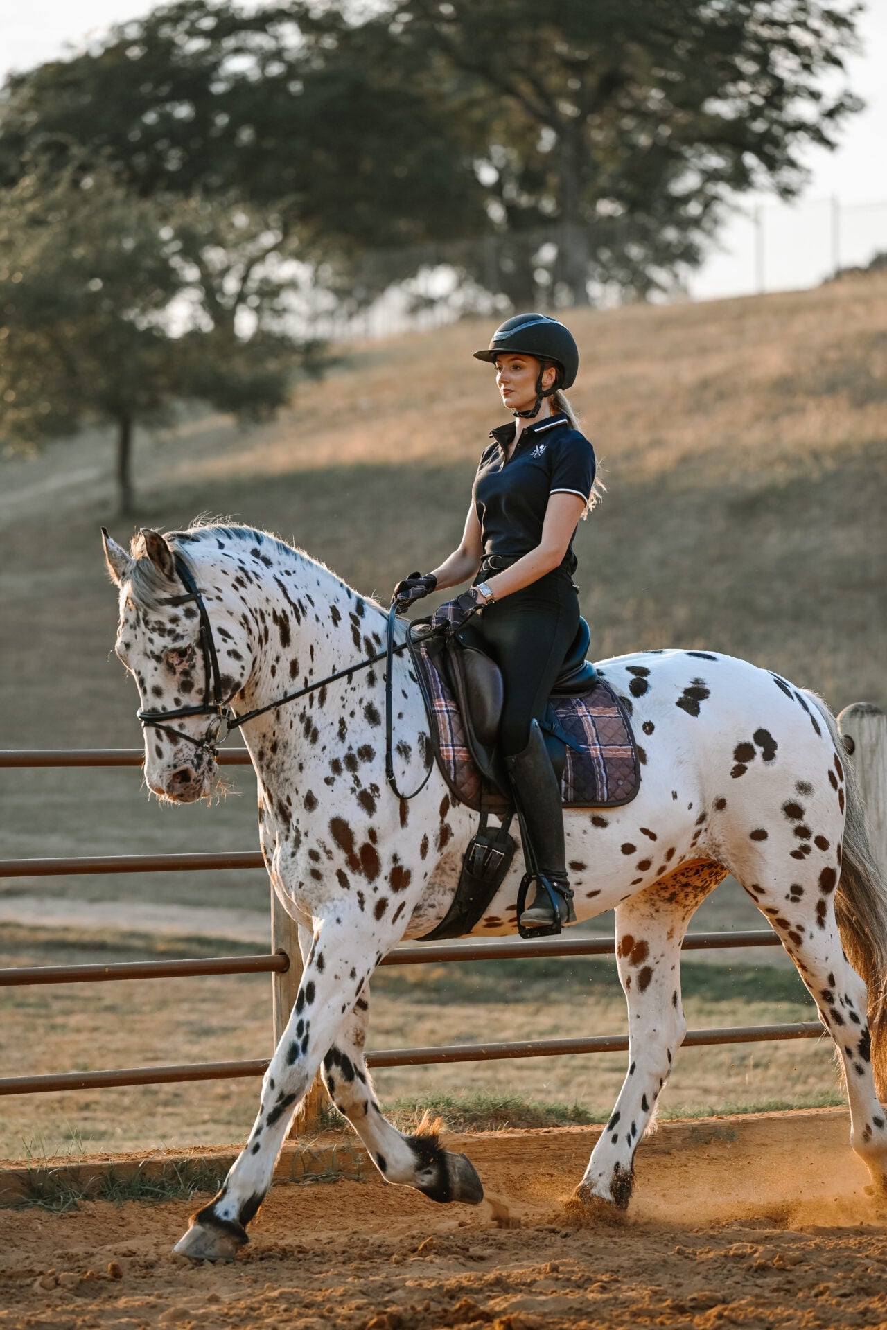 Sixteen Cypress X ThinLine Dressage Pad – Field Plaid - Sixteen Cypress - Equiluxe Tack