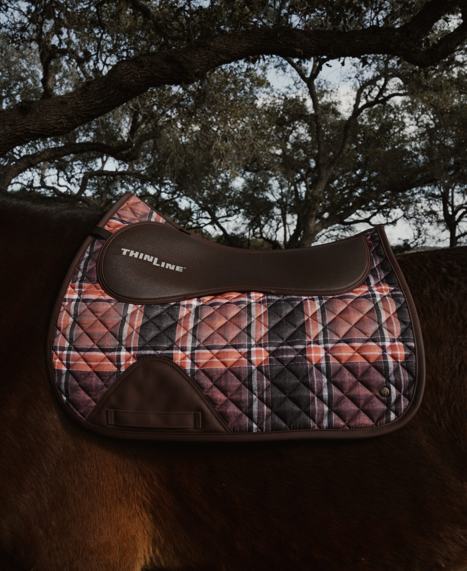 Sixteen Cypress X ThinLine Jumper Pad – Field Plaid - Sixteen Cypress - Equiluxe Tack