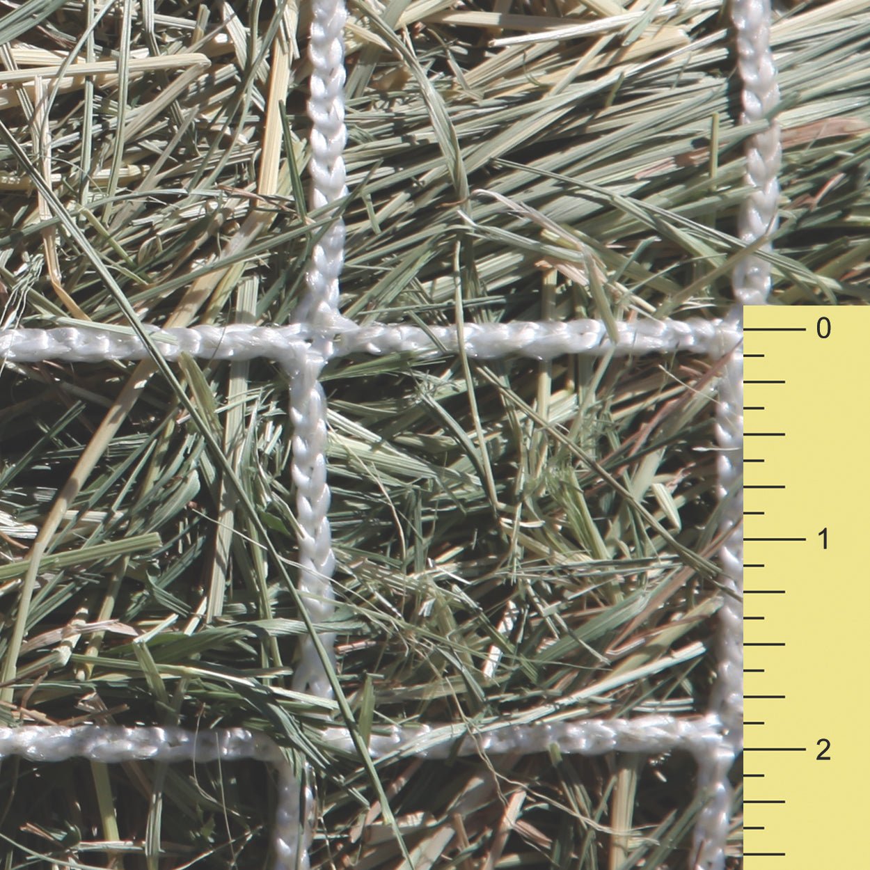 Slow Feed - Extended Day Net Freedom Feeder - Capacity: 2 String Bale - Freedom Feeder - Equiluxe Tack