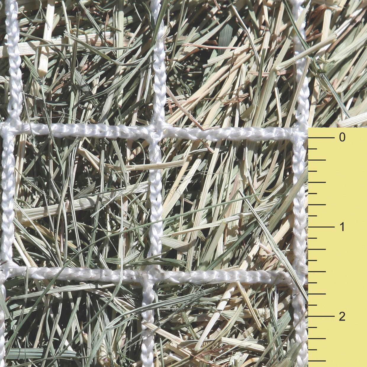Slow Feed - Extended Day Net Freedom Feeder - Capacity: 2 String Bale - Freedom Feeder - Equiluxe Tack