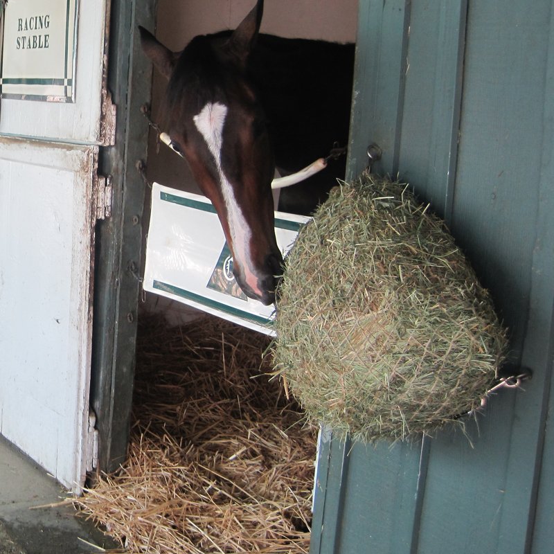 Slow Feed - Freedom Feeder Day Net - Capacity: 4 Flake - Freedom Feeder - Equiluxe Tack