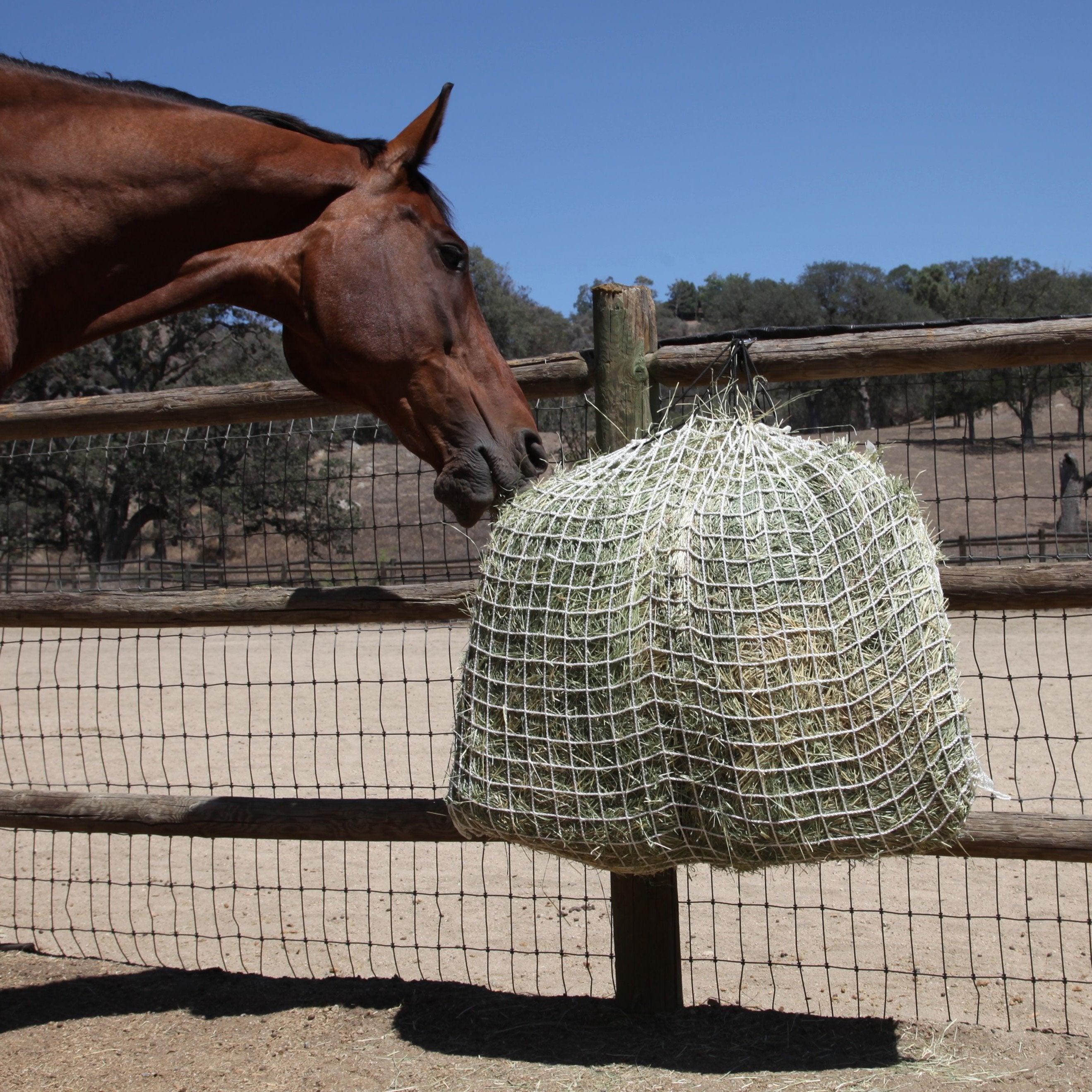 Slow Feed - Freedom Feeder Day Net - Capacity: 4 Flake - Freedom Feeder - Equiluxe Tack