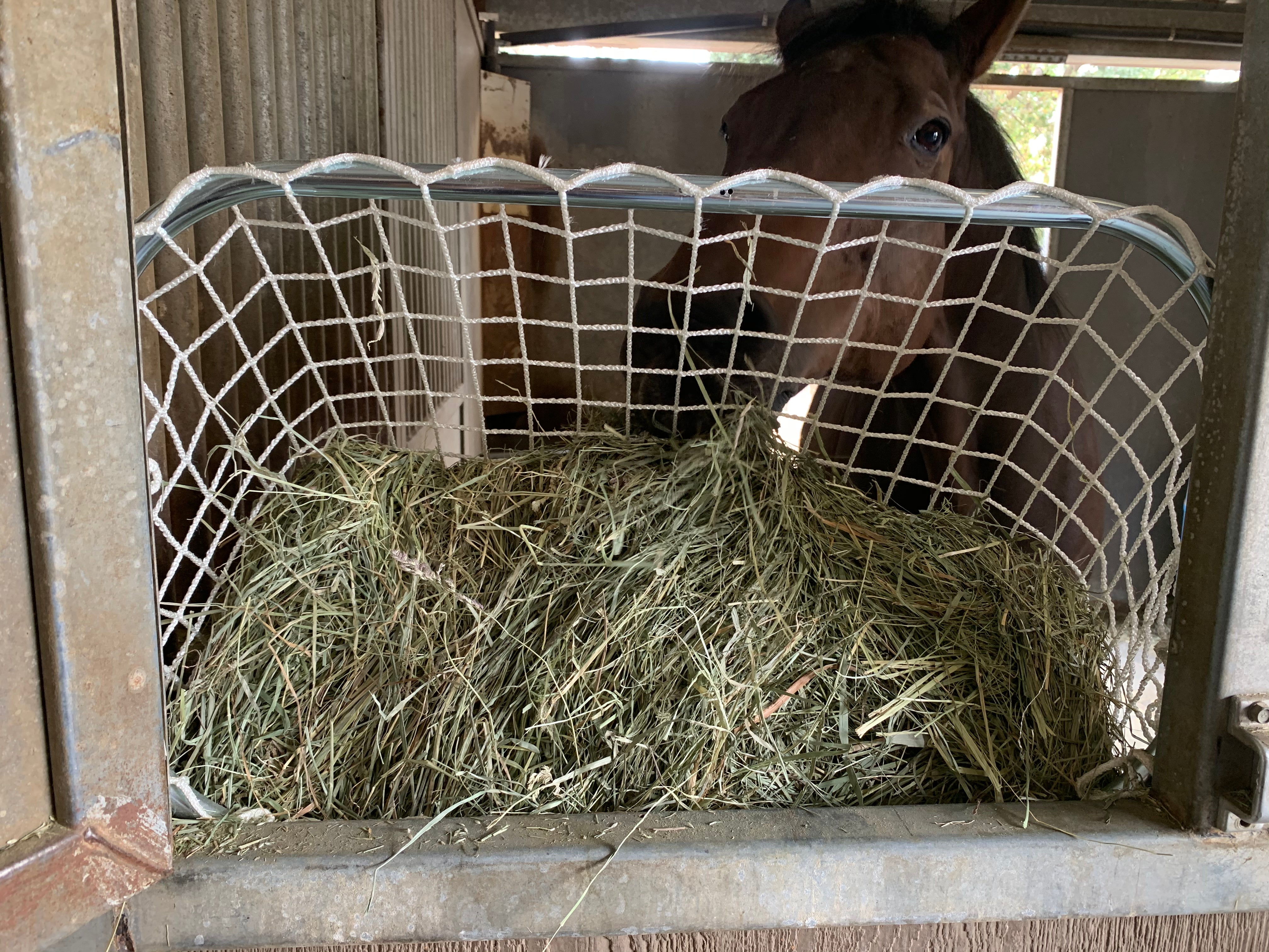 Slow Feed - Freedom Feeder Frame - Kensington Protective Products - Equiluxe Tack