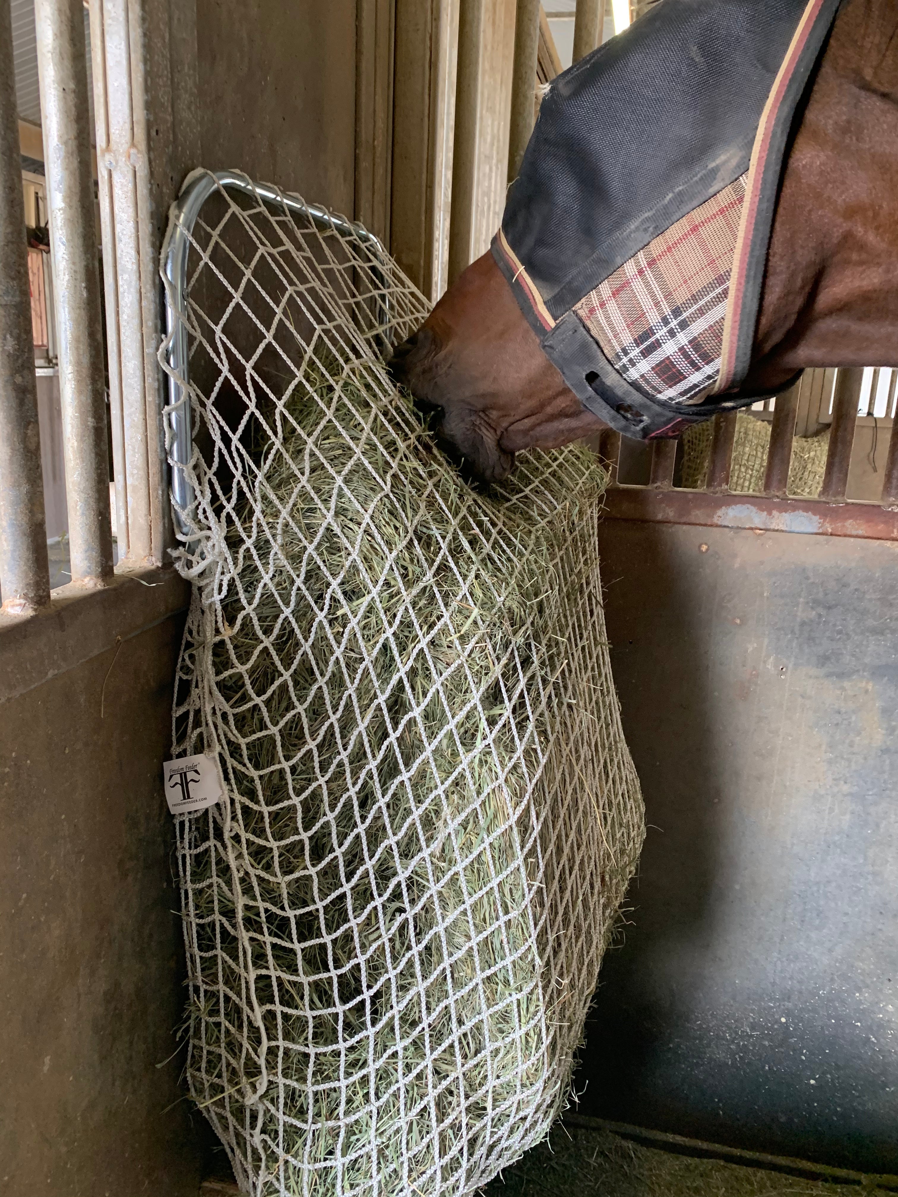 Slow Feed - Freedom Feeder Frame - Kensington Protective Products - Equiluxe Tack