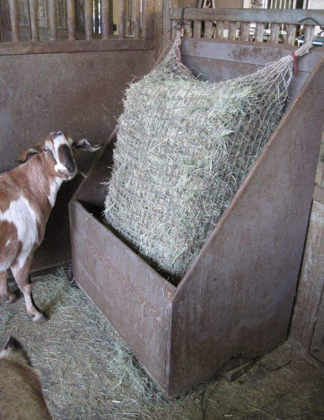 Slow Feed - Full Bale Freedom Feeder - Capacity: 3 String Bale - Freedom Feeder - Equiluxe Tack