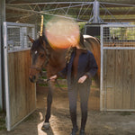 Solid Citizen Equestrian 'Bowie' | Barn Jacket | Durable Satin Quilt | Navy Plaid - Equiluxe Tack
