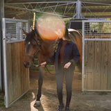 Solid Citizen Equestrian 'Bowie' | Barn Jacket | Durable Satin Quilt | Navy Plaid - Equiluxe Tack
