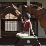 Solid Citizen Equestrian 'Viv' | Maxx Comfort | Short Sleeve Polo | Mars - Equiluxe Tack