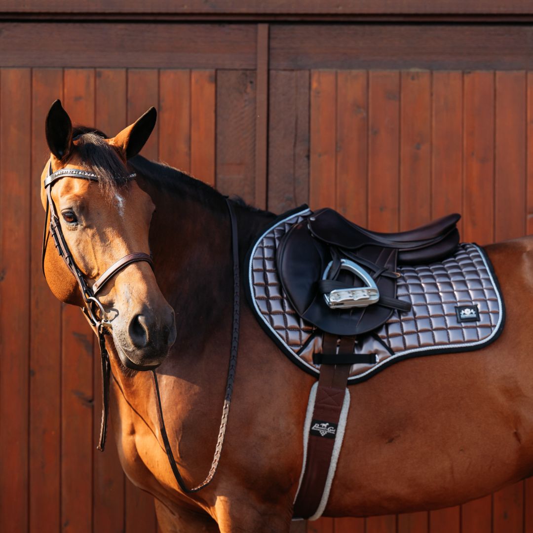 Spaceship Grey Saddle Pad Set - Equestroom - Equiluxe Tack