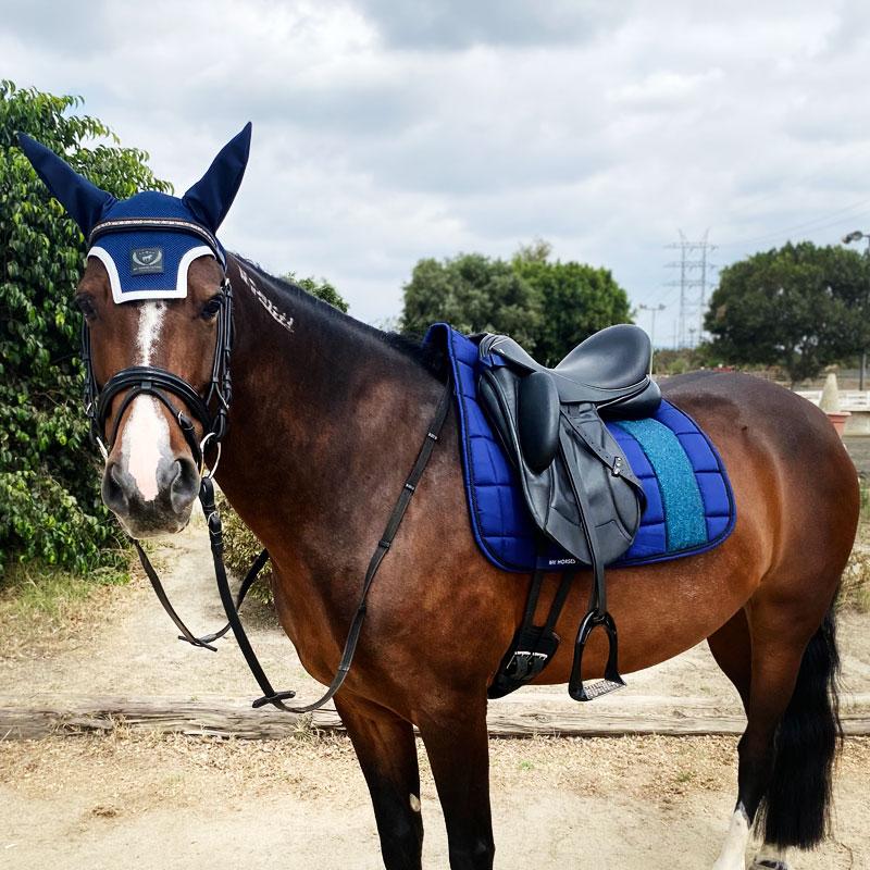 Sparkly Navy Blue Dressage Pad - Equiluxe Tack