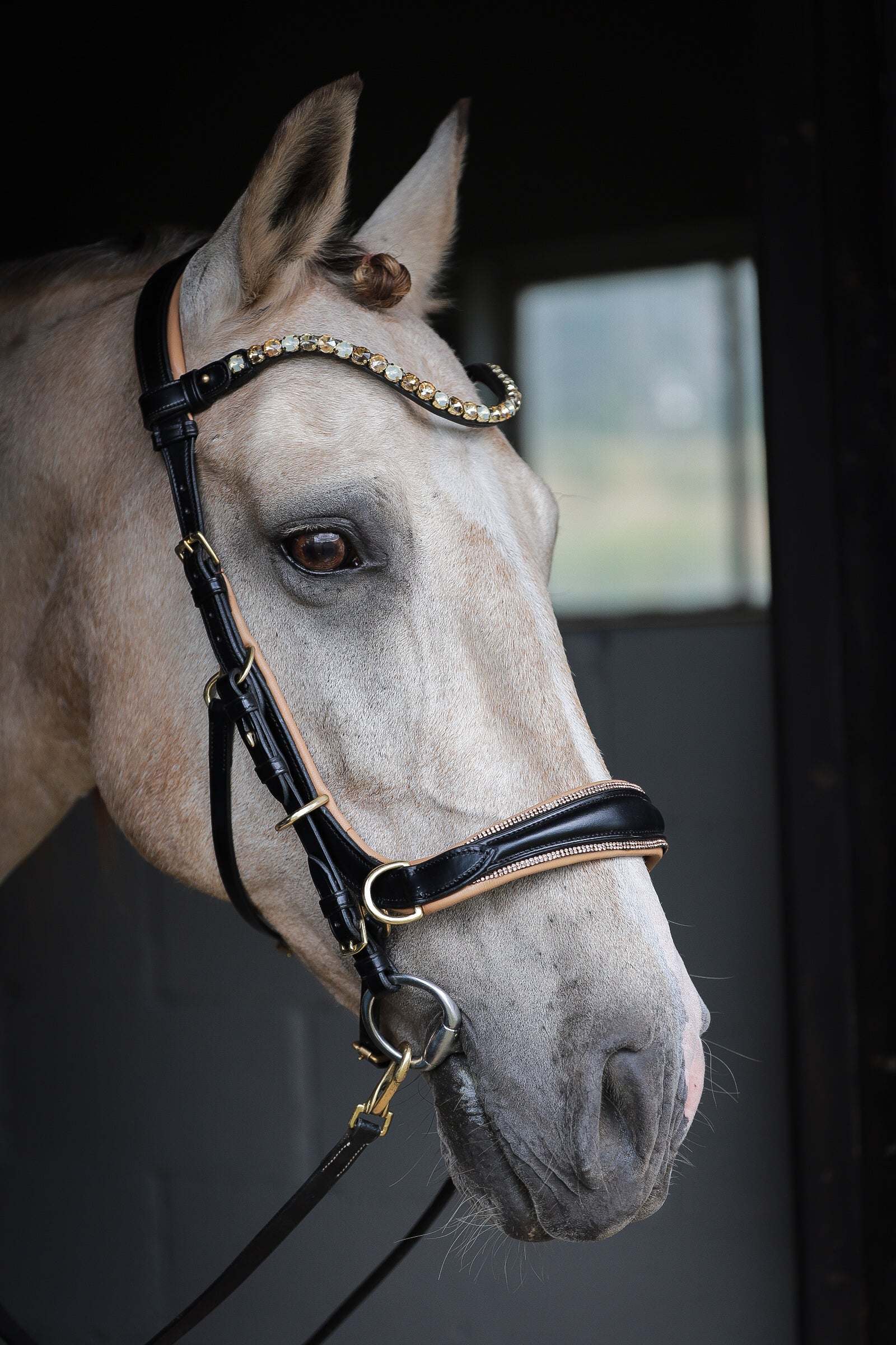 Spiritandhiscrew X MASEGO Multi Bridle - MASEGO horsewear - Equiluxe Tack