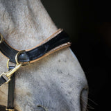 Spiritandhiscrew X MASEGO Multi Bridle - MASEGO horsewear - Equiluxe Tack