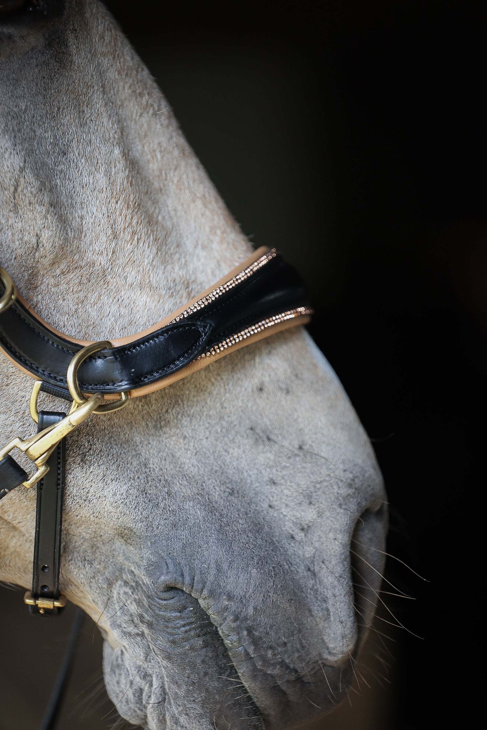 Spiritandhiscrew X MASEGO Multi Bridle - MASEGO horsewear - Equiluxe Tack