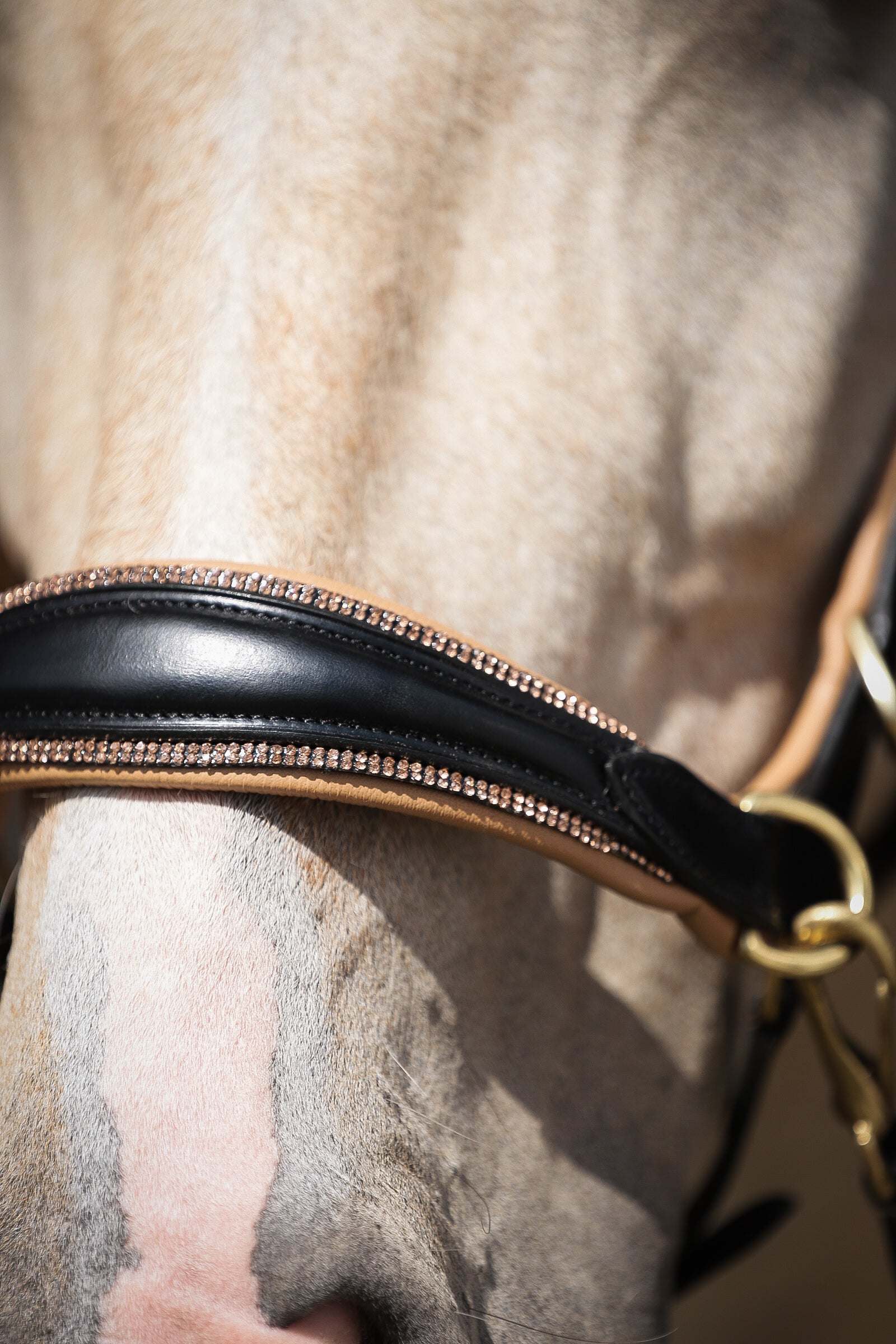 Spiritandhiscrew X MASEGO Multi Bridle - MASEGO horsewear - Equiluxe Tack