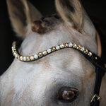 Spiritandhiscrew X MASEGO Multi Bridle - MASEGO horsewear - Equiluxe Tack