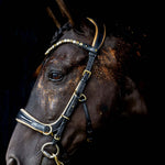 Spiritandhiscrew X MASEGO Multi Bridle - MASEGO horsewear - Equiluxe Tack