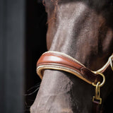 Spiritandhiscrew X MASEGO Multi Bridle - MASEGO horsewear - Equiluxe Tack